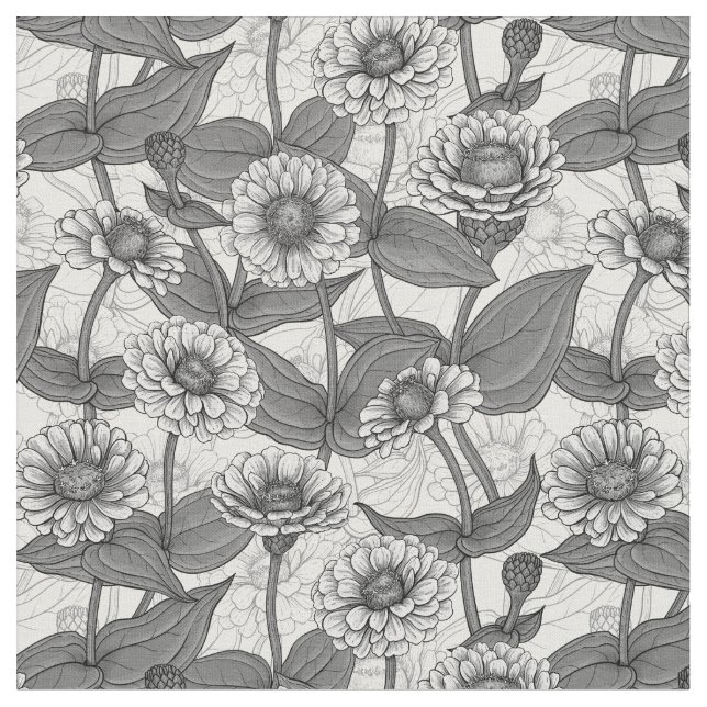 Zinnia, Monochom auf weiß Stoff (Nahaufnahme)