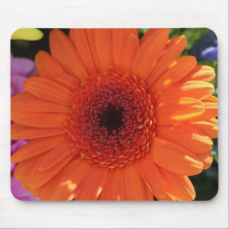 Zinnia Mousepad