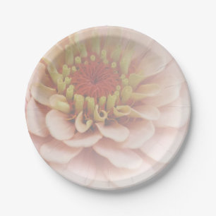 Zinnia Paper Teller Blasspeach