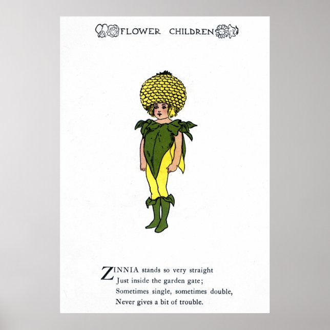 Zinnia Poster (Vorne)