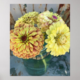 Zinnia Queen Limon Blush Poster