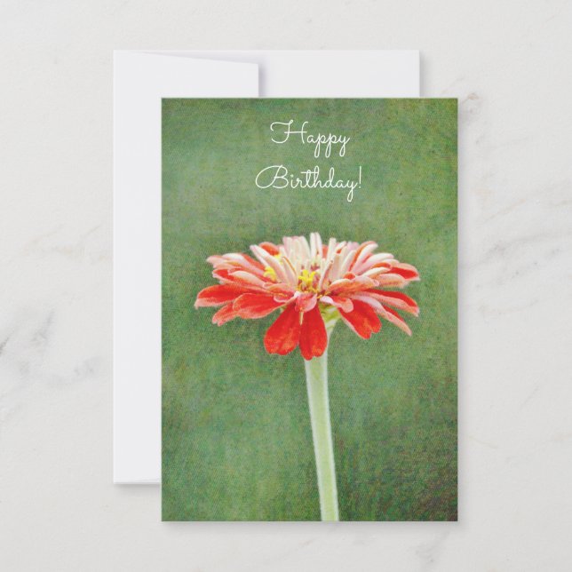 Zinnia Red Blume Künstlerisch Flat Birthday Card Einladung (Vorderseite)