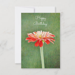 Zinnia Red Blume Künstlerisch Flat Birthday Card Einladung