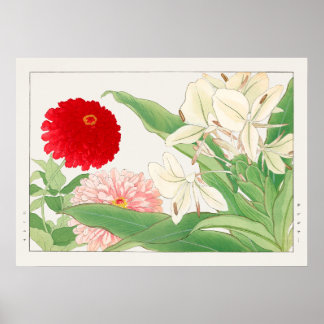 Zinnia & White Ginger Lily Blume, Tanigami Konan, Poster
