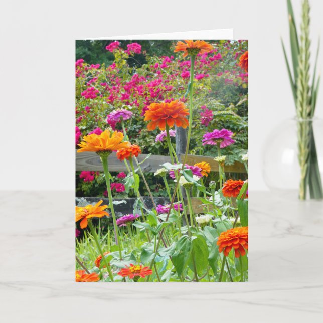 "Zinnias 1." Grußkarte Karte (Vorderseite)