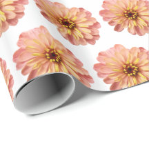 Zinnias Blume Naturfotografie Muster