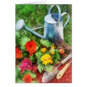 Zinnias und Gießkanne