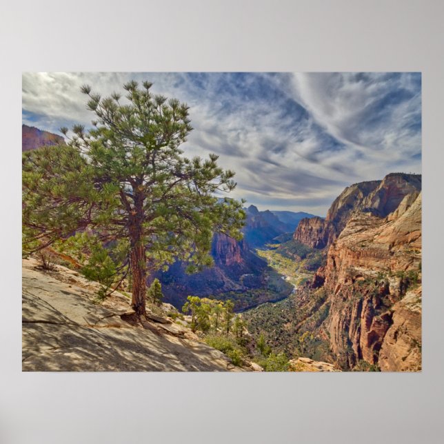Zion Canyon View von Angels Landing Poster (Vorne)
