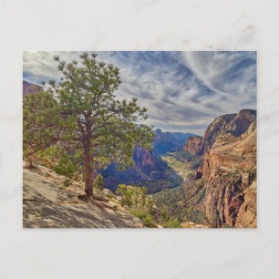 Zion Canyon View von Angels Landing Postkarte