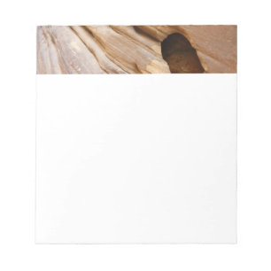 Zion Canyon Wand I Abstrakte Naturfotografie Notizblock