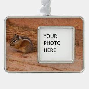 Zion Chipmunk auf Red Rocks Rahmen-Ornament Silber