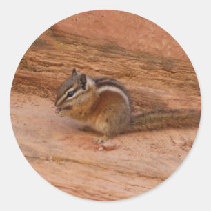 Zion Chipmunk auf Red Rocks Runder Aufkleber