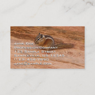 Zion Chipmunk auf Red Rocks Visitenkarte
