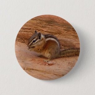 Zion Chipmunk auf roten Felsen Button