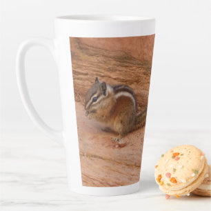 Zion Chipmunk auf roten Felsen Milchtasse