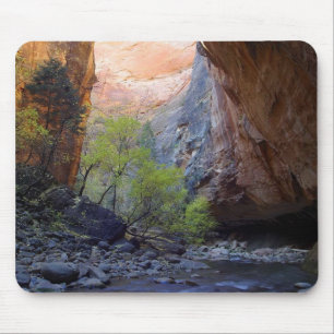 Zion Engen Mousepad