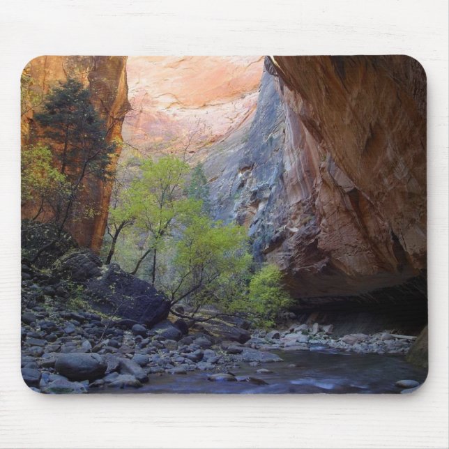 Zion Engen Mousepad (Vorne)