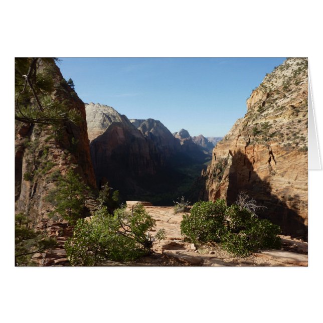 Zion from Angels Landweg Zion Nationalpark (Vorderseite (Horizontal))