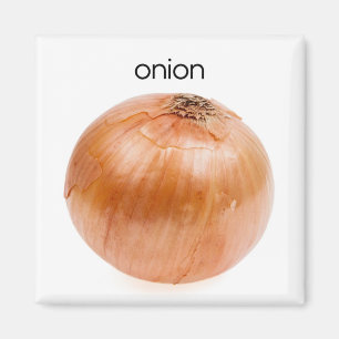 Zion Kühlschrank Magnet