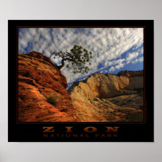 Zion Lone Tree Poster