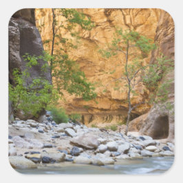 Zion Narrows Quadratischer Aufkleber