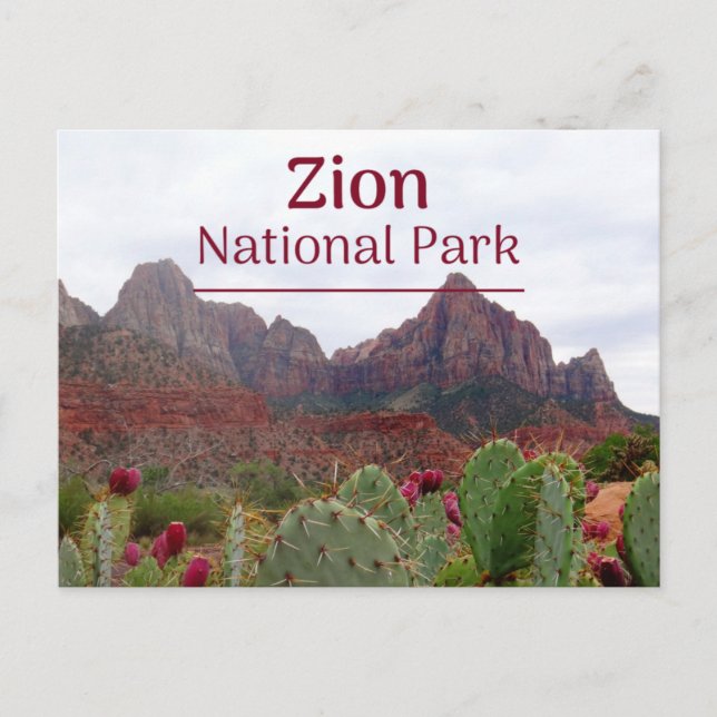 Zion National Park Bloom Postcard Postkarte (Vorderseite)