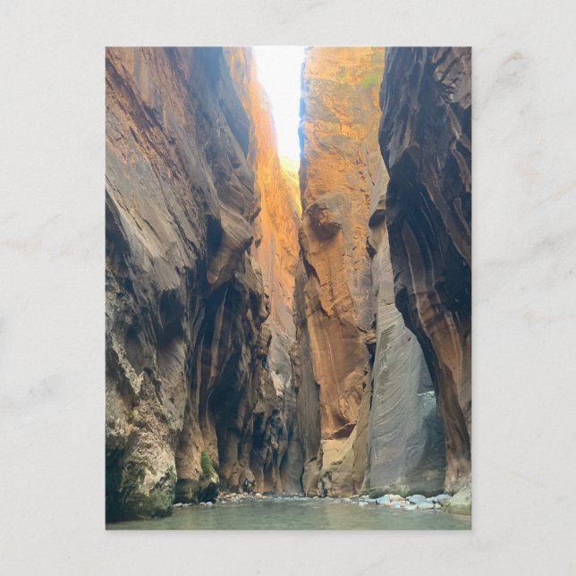 Zion National Park: Die Pfeile Postkarte (Vorderseite)