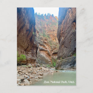 Zion National Park Postcard Postkarte