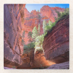 Zion National Park, Utah, USA Glasuntersetzer