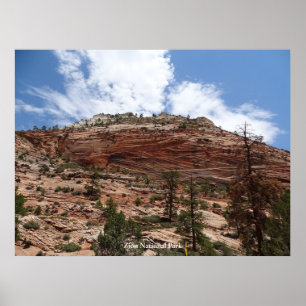 Zion-Nationalpark Poster