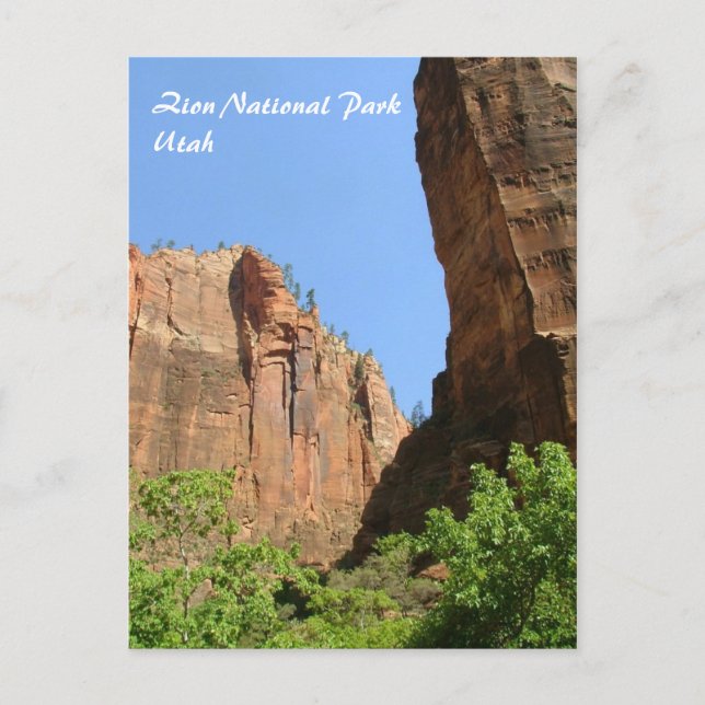 Zion-Nationalpark Postkarte (Vorderseite)
