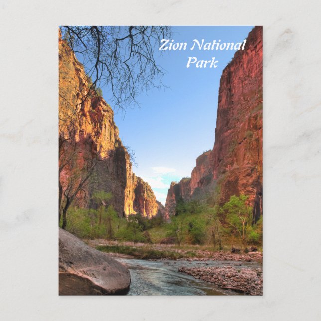 Zion Nationalpark-Postkarte Postkarte (Vorderseite)