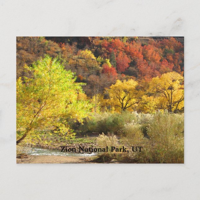 Zion Nationalpark, Utah Herbstfarbenlandschaft Postkarte (Vorderseite)