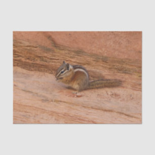 Zion-Streifenhörnchen auf roten Felsen Seidenpapier