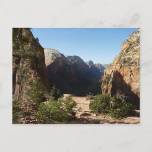 Zion vom Angels Landing Trail Zion National Park Postkarte