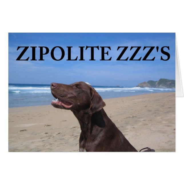 ZIPOLITE ZZZ (Vorderseite (Horizontal))