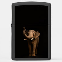 Zippo-Feuerzeug mit Mighty Elephant