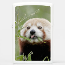 Zippo Lighter Foto rot Panda , Tiere 0615.