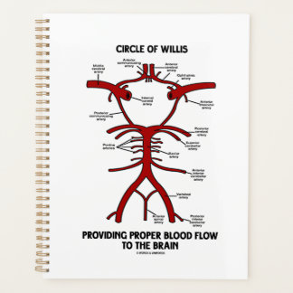 Zirkel des Willis, der ein angemessenes Blut-Flow- Planer