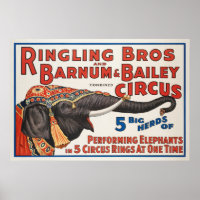 Zirkus 5 Große Herden Darstellender Elefanten