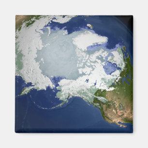 Zirkus-Arktische Permafrost Magnet