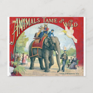Zirkus-Vintage-Postkarte Postkarte