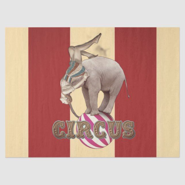 Zirkusfest  seidenpapier (Vorderseite)
