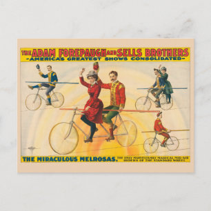 Zirkusplakat mit Fahrradfahrern auf dem Hochseil Postkarte