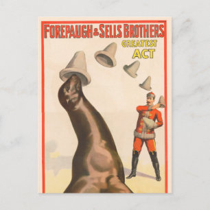 Zirkusplakat mit Seelöwe, der Hüte fängt Postkarte