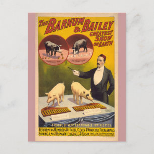 Zirkusposter Postkarte