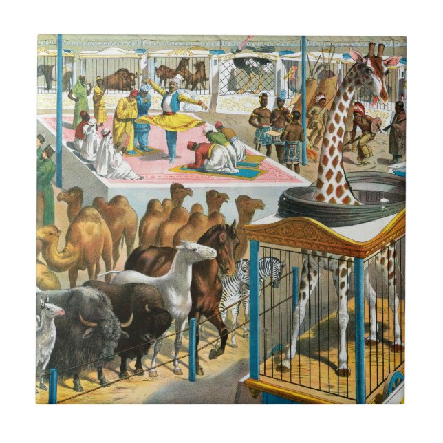 Zirkusposter von Menschen unterschiedlicher Nation Fliese (Vorderseite)