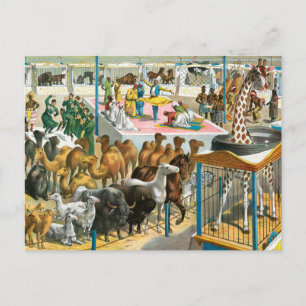 Zirkusposter von Menschen unterschiedlicher Nation Postkarte