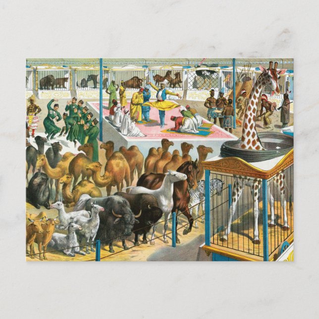 Zirkusposter von Menschen unterschiedlicher Nation Postkarte (Vorderseite)