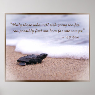Zitat Baby Sea Turtle Sand Ocean Poster